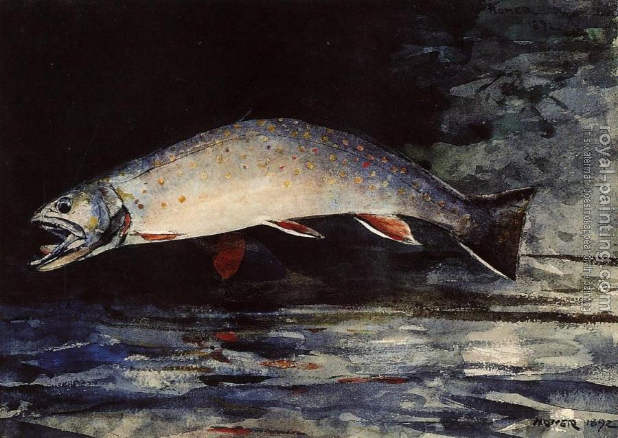 Winslow Homer : A Brook Trout